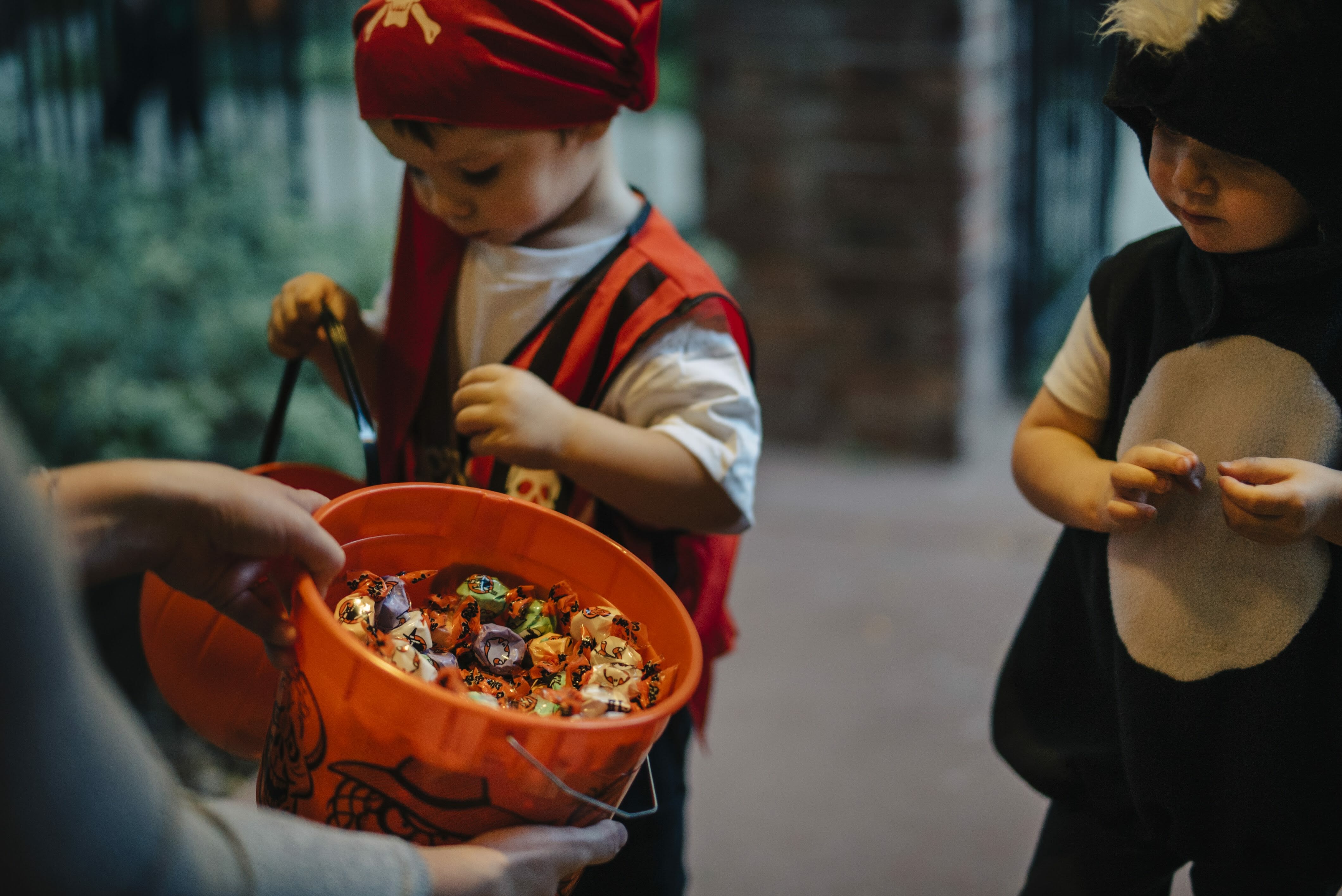 BOGO Halloween Taffy